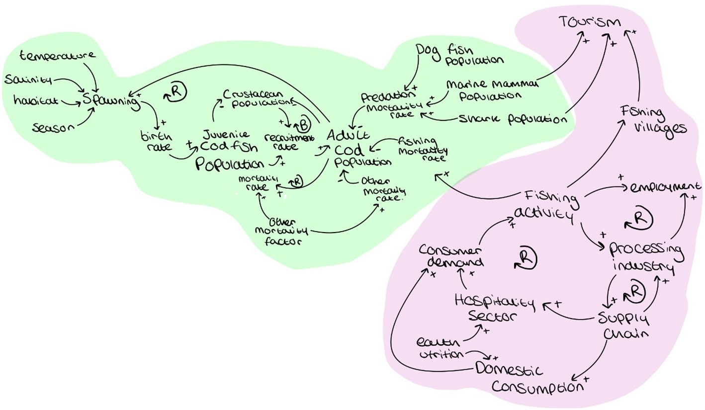 Social aspects impacting the cod fish population.