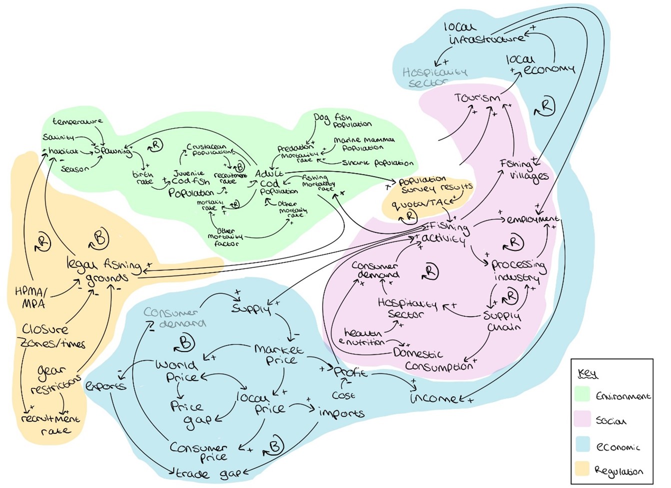 Diagram 6: Regulatory aspects impacting the cod population.