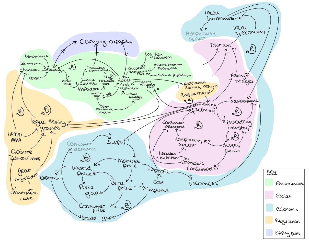 Diagram 7: CLD telling the story of what impacts cod population in the UK.