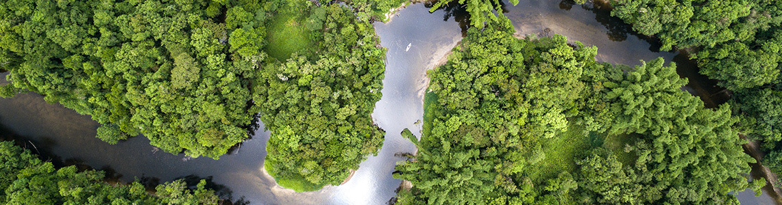 The Amazon river